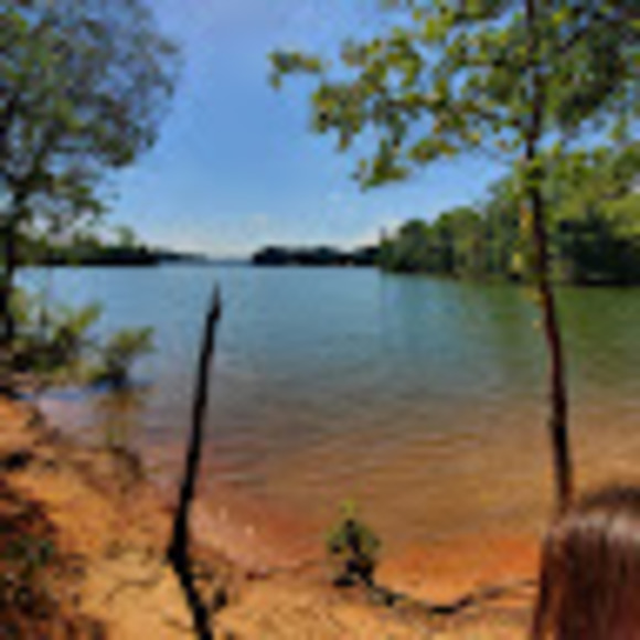 Meet your Posher, Chantelle - Picture 1 of 1